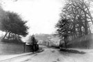 View: c00150 Frodsham: Bridge Lane 	