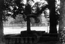 View: c00691 Whitegate: Vale Royal, the Nun's Grave	