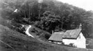 View: c01491 Alderley Edge: Path up to Wood Hill 	