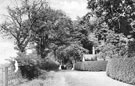 View: c01510 Wilmslow: Pownall Hall, Carwood Road 	