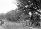 View: c01549 Wilmslow: Wilmslow Park 	