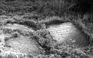 View: c01575 Mobberley: Quaker Burial Gound 	
