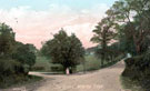 View: c01580 Nether Alderley: The Cross 	