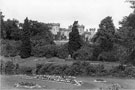 View: c01698 Cholmondeley: Cholmondeley Castle 	