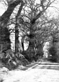 View: c02092 Winwick