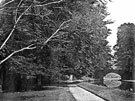View: c02119 Norton: Townfield Bridge	
