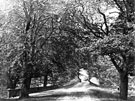 View: c02120 Norton: Townfield Bridge 	