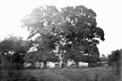 View: c02145 Appleton: Broom House	