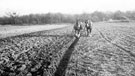 View: c02497 Poynton: Plough Team at Lostock Hall Farm 	