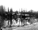 View: c05333 Winsford: Caravan site near the Flashes	