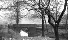 View: c05379 Sandbach: Armistead Wood 	