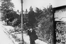 View: c05547 Alsager: Gardens at Alsager Station