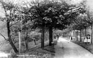 View: c05630 Congleton:Footpath in the Park 	