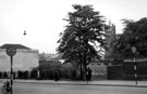 View: c05696 Crewe: removing a tall tree, Coppenhall Terrace 	