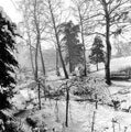 View: c05865 Crewe: Queen's Park 	