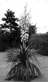 View: c05870 Crewe: Cemetery 	