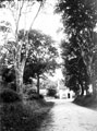 View: c05908 Alderley Edge: Artists Lane 	