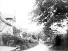 View: c05909 Alderley Edge: rural lane	