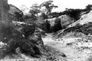View: c05944 Alderley Edge: The copper mines 	