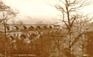 View: c06012 Marple: The Aqueduct 	