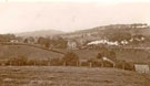 View: c06021 Bredbury: Werneth Low from George Lane 	