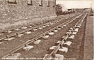 View: c06099 Winsford: Over and Wharton Station 	