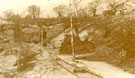 View: c06100 Alderley Edge: Copper Mines 	