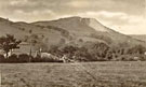 View: c06114 Langley: Tegg's Nose 	