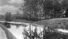 View: c06183 High Lane: Canal Scene 	