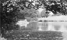View: c06194 Macclesfield: Swan Pool 	