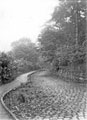 View: c06241 Alderley Edge: The Wizard's Well 	