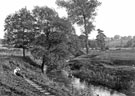 View: c06256 Hale Manchester: By the River Bollin 	