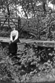 View: c06264 Hale Manchester: Meadow near Chapel Lane 	
