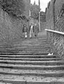 View: c06341 Macclesfield: 108 Steps 	