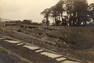 View: c06379 Northwich: Subsidence in Verdin Park 	