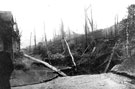 View: c06429 Northwich: Subsidence in Verdin park	