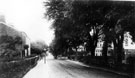 View: c06617 Macclesfield: Park lane 	