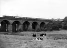 View: c06715 Wilmslow: Viaduct