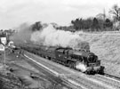 View: c06747 Prestbury: LMS 'Royal Scot' 4-6-0 No.46161 King's Own passing the station