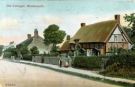 View: c07768 Monk's Heath: Thatched cottage