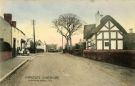 View: c07819 Handley:Main road through the village