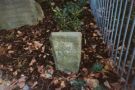 View: c07973 Wilmslow: memorial stone to Romany's dog, Raq