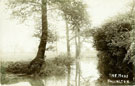 View: c08076 Haslington: The Mere