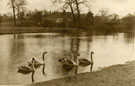 View: c08077 Haslington: The Mere