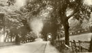 View: c08125 Disley: Buxton Road