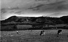 View: c08144 Rawhead: Sandstone Trail