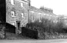 View: c08301 Disley: Unwin Terrace