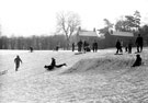 View: c08410 Wilmslow: Winter scene in Carr's Park