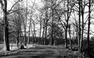 View: c08411 Wilmslow: Bridle road at the west end of Carr's Park