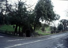 View: c08472 Great Budworth: The Pump from Northwich Road